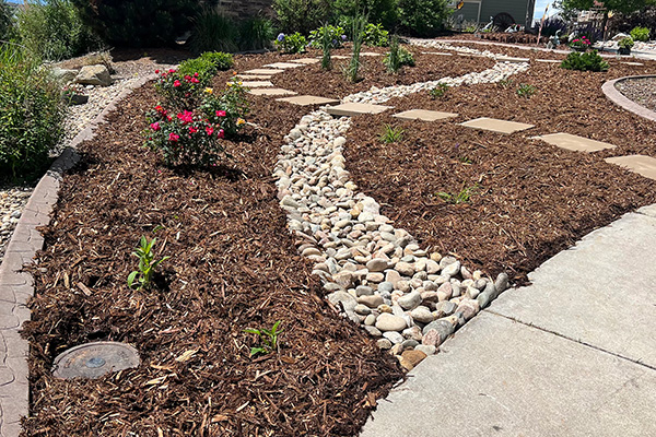 Front Yard Xeriscape